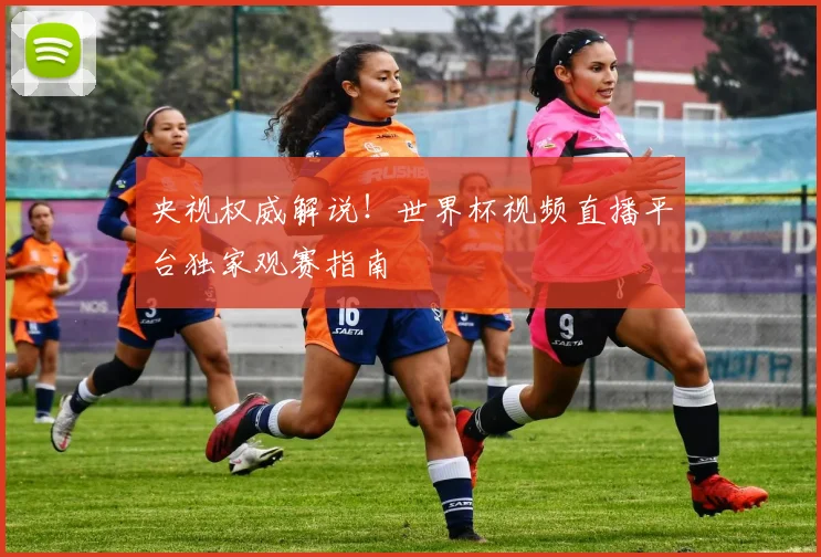 央视权威解说！世界杯视频直播平台独家观赛指南