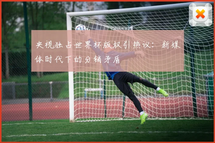 央视独占世界杯版权引热议：新媒体时代下的分销矛盾
