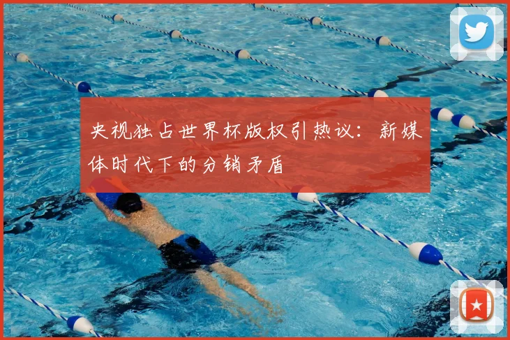 央视独占世界杯版权引热议：新媒体时代下的分销矛盾